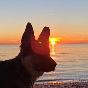 Meet your Posher, Donna